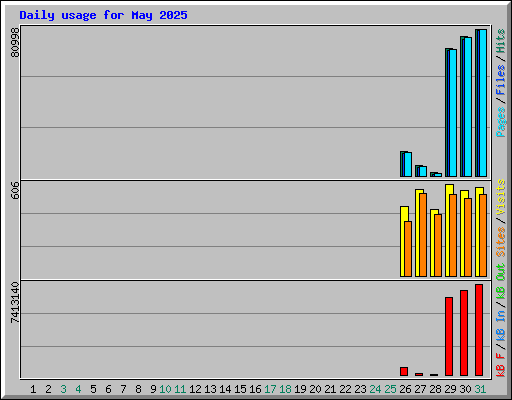 Daily usage for May 2025