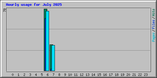 Hourly usage for July 2025