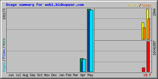 Usage summary for web1.bidnapper.com